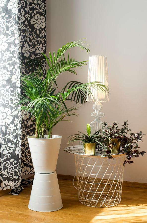 Apartamenty Nowy Swiat Varsovie Extérieur photo
